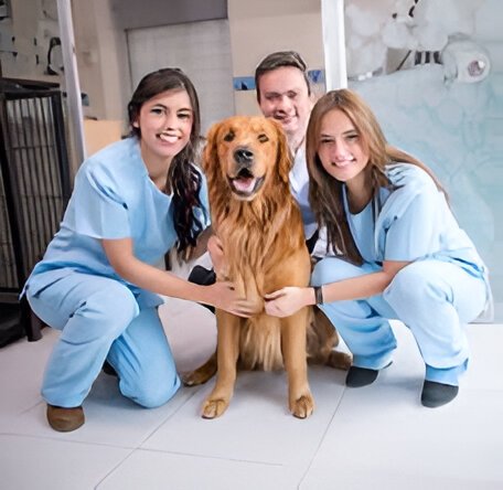 Equipo veterinario