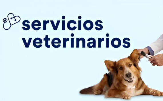 Servicios